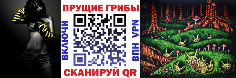 Галлюциногенные грибы Psilocybine cubensis  Купить закладки  Жигулёвск 
